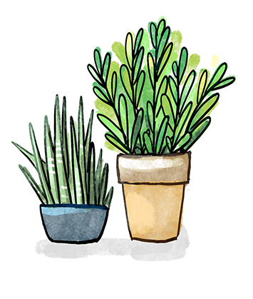 Marta Rydz-Domańska other stuff